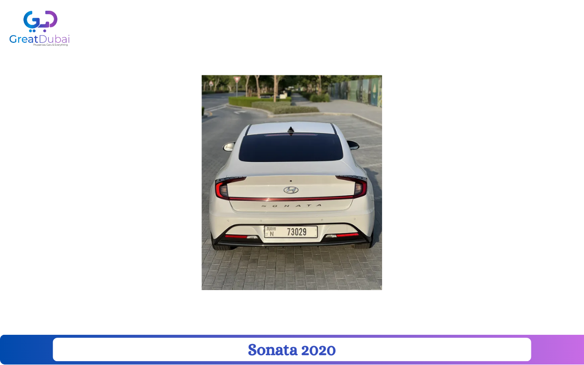 Sonata 2020 2.0 cc Benzene clean-pic_1