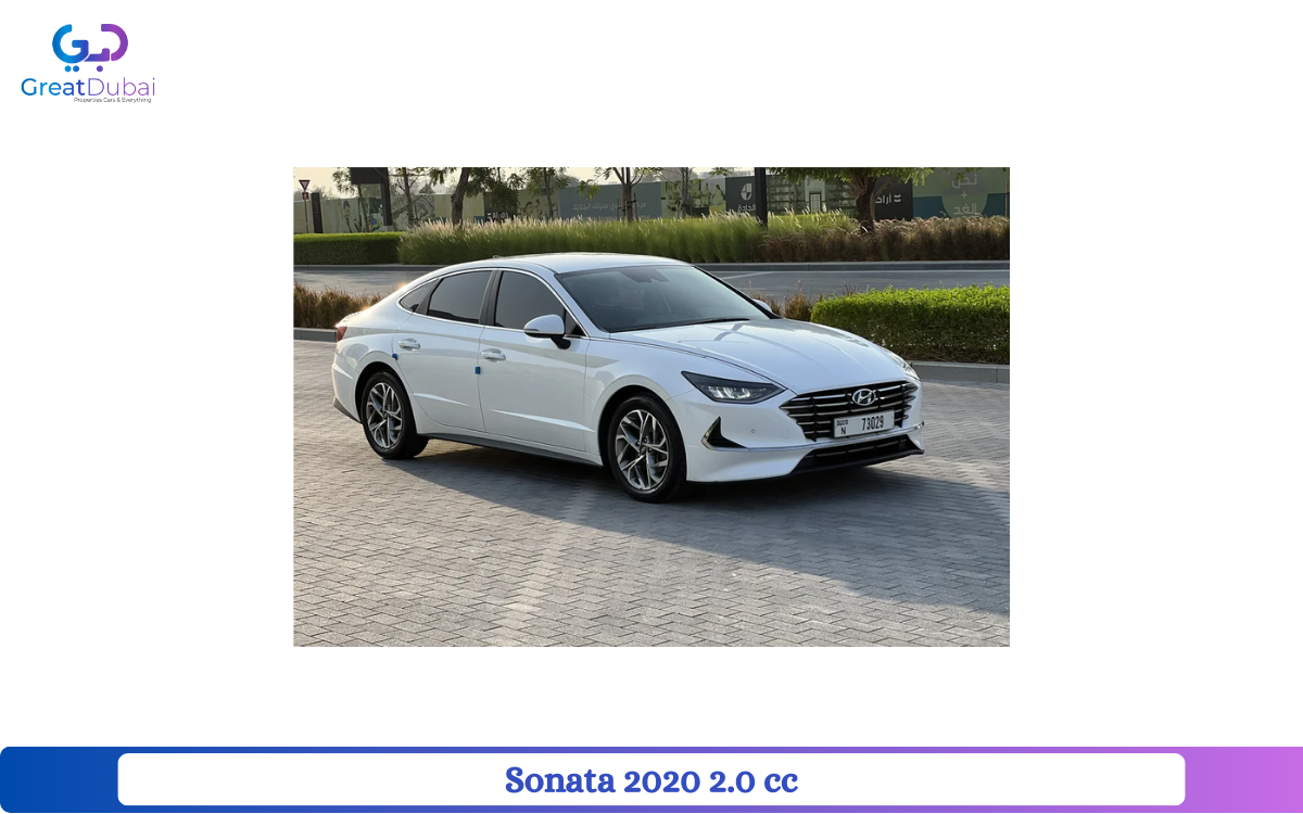 Sonata 2020 2.0 cc Benzene clean-pic_1