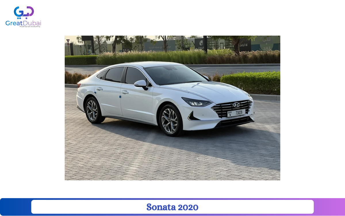 Sonata 2020 2.0 cc Benzene clean-pic_1