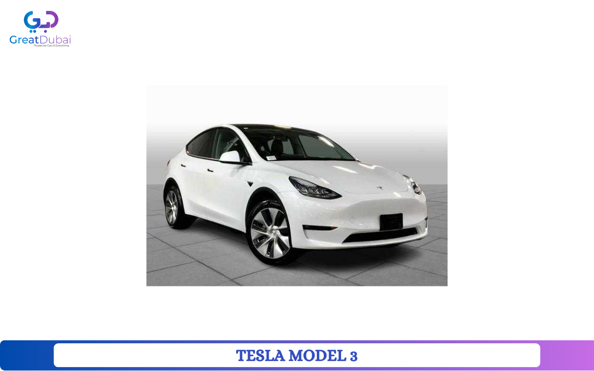 TESLA MODEL 3-pic_1