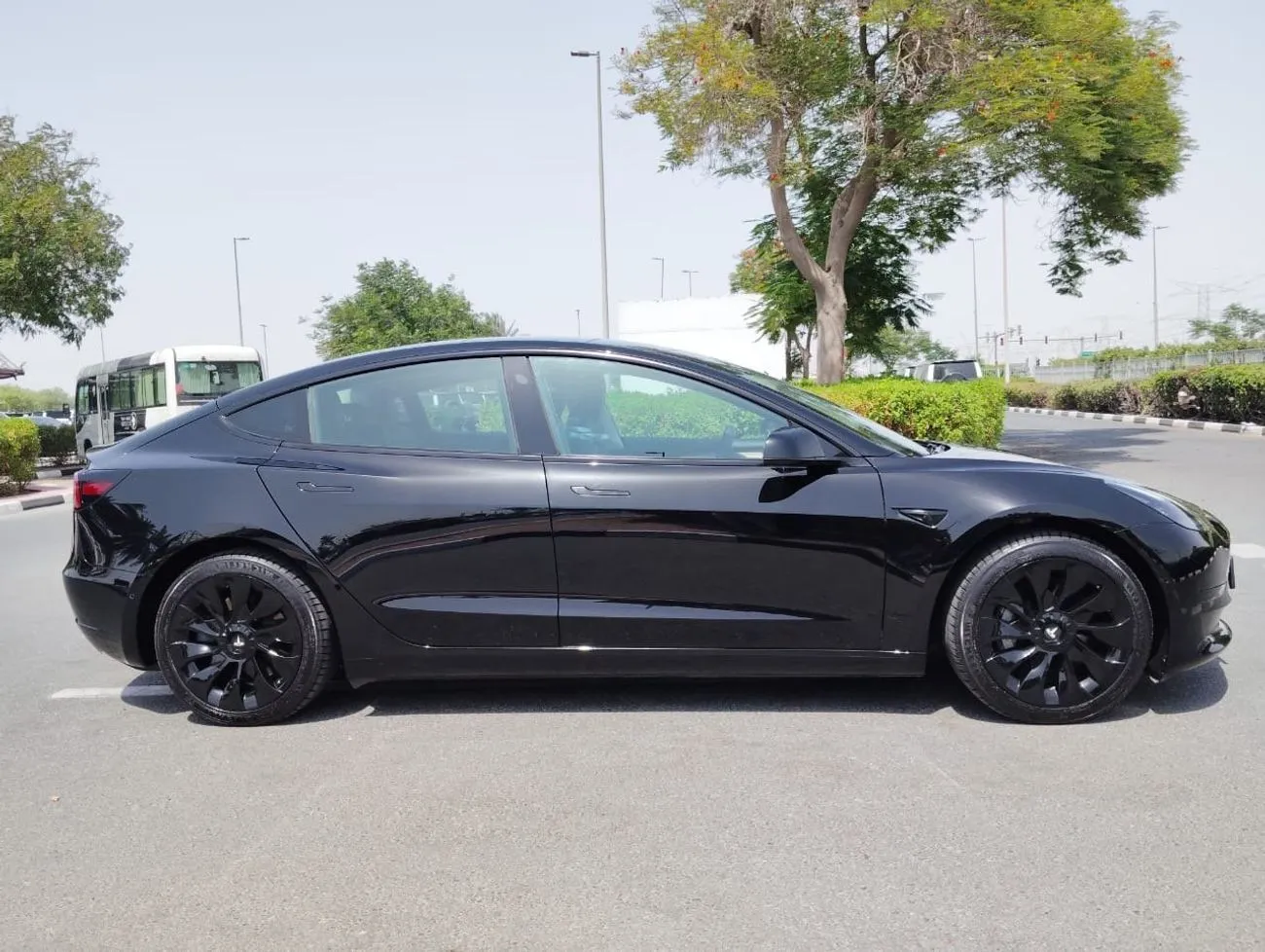 Tesla Model 3-pic_1
