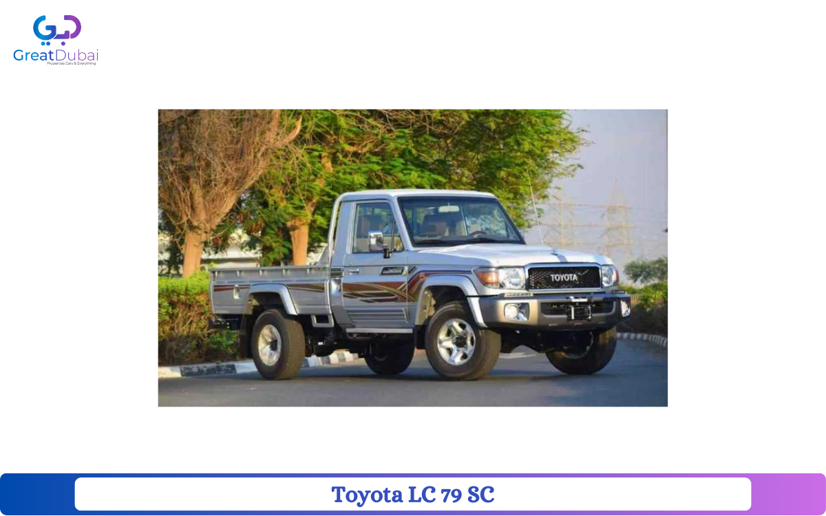 Toyota LC 79 SC-pic_1