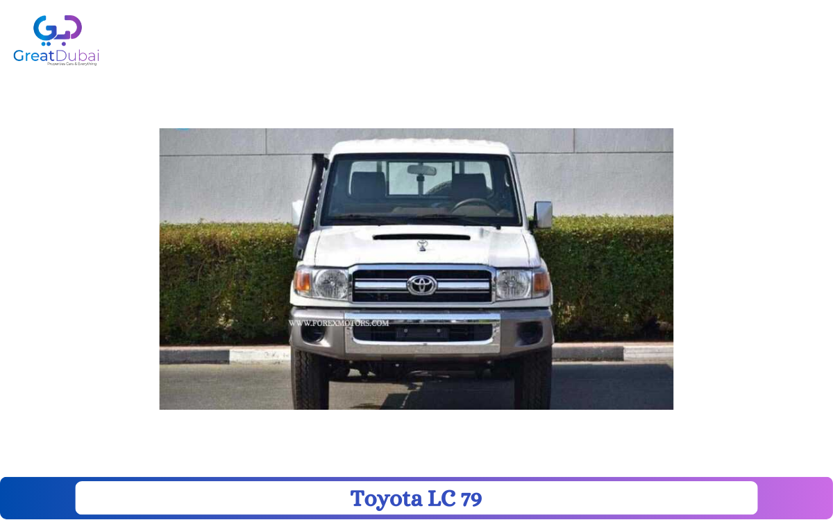 Toyota LC 79 Single Cab Pickup-pic_1