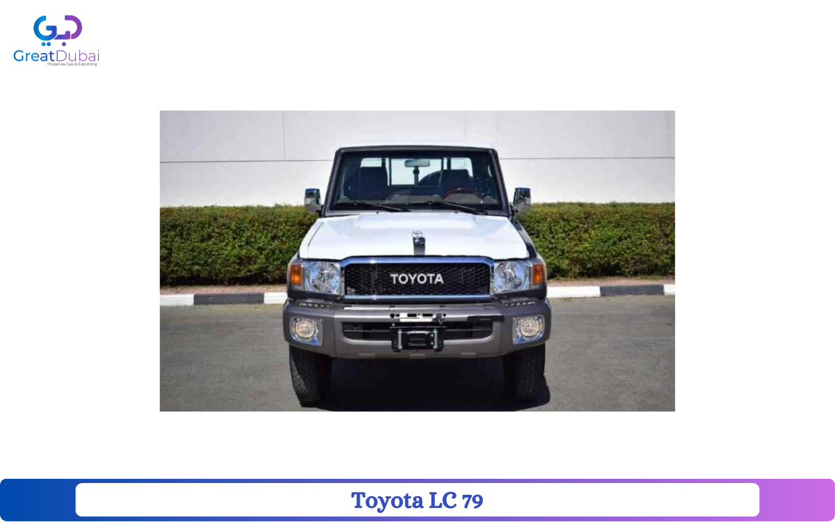 Toyota LC 79-pic_1