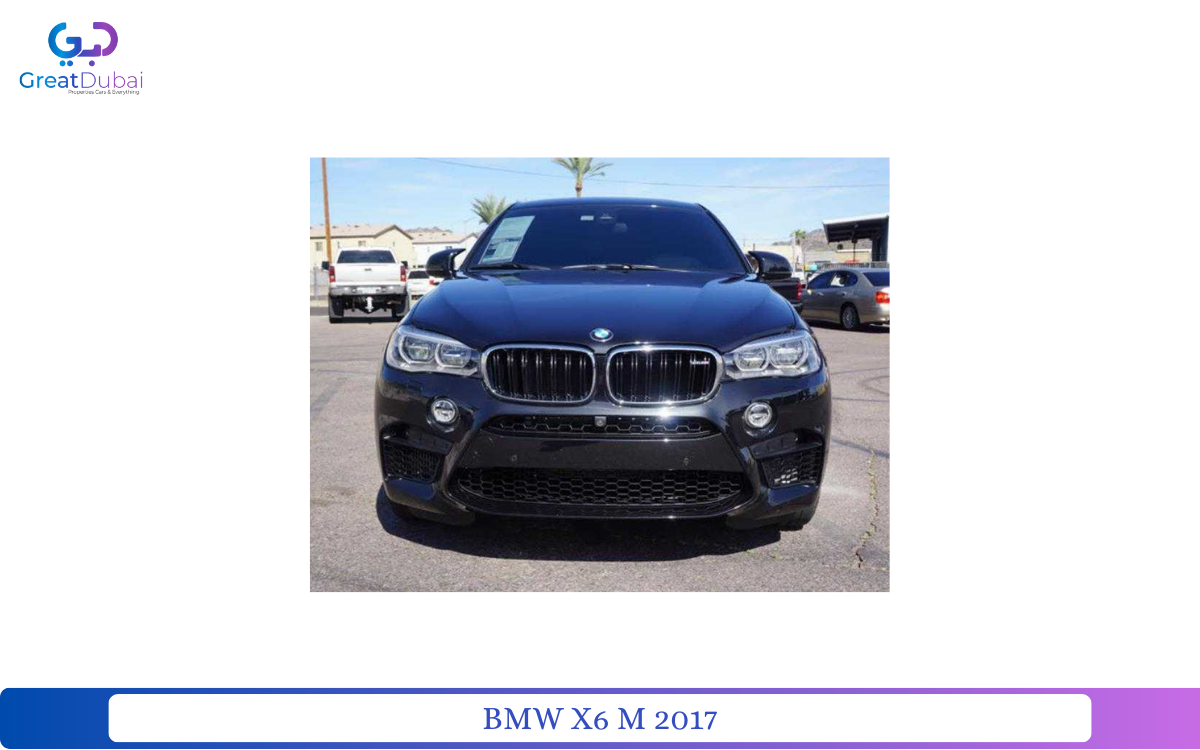 BMW X6 M 2017-pic_1