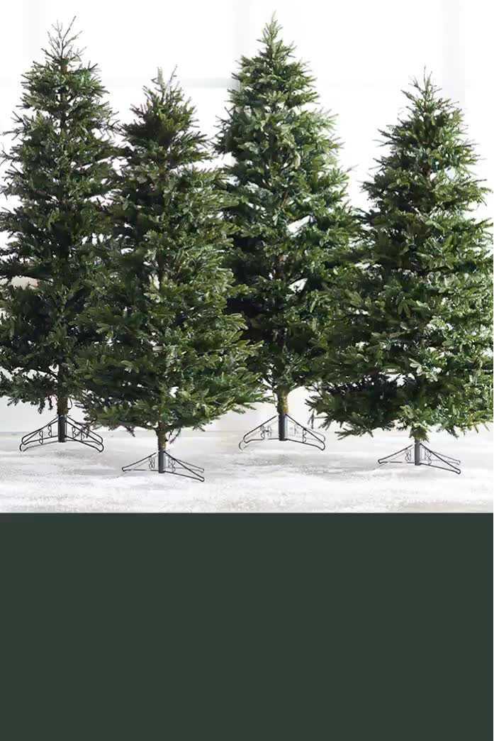 Crate and barrel Christmas tree 8.5 ft (260cmX165c