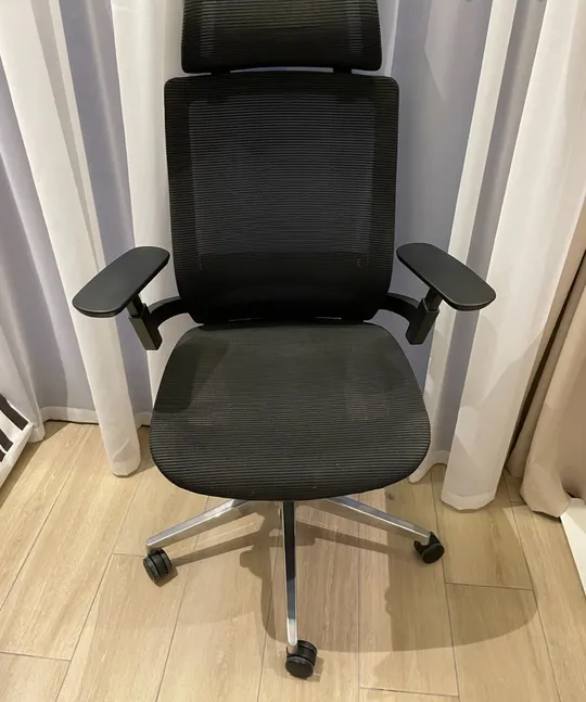 Ergonomic Desk Chair-pic_2