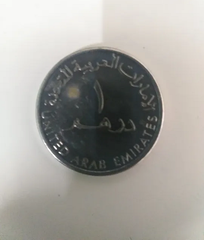 YEAR OF ZAYED COIN