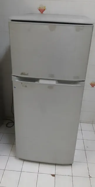 fridge medium size