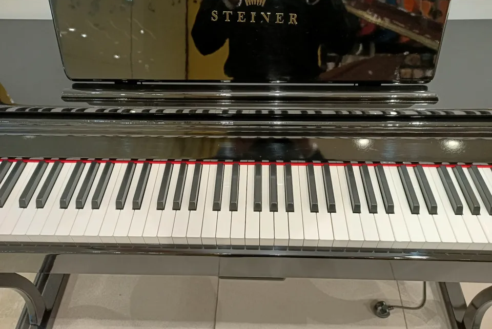 Steiner Digital Piano DP-800