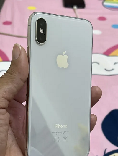 Apple iPhone X 256 Gb All Ok Clean 699 Price Fixed-pic_2