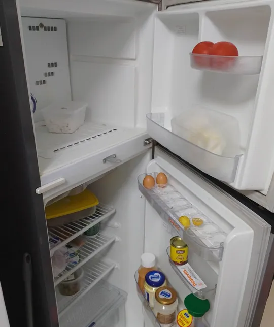 clean refrigerator-pic_2