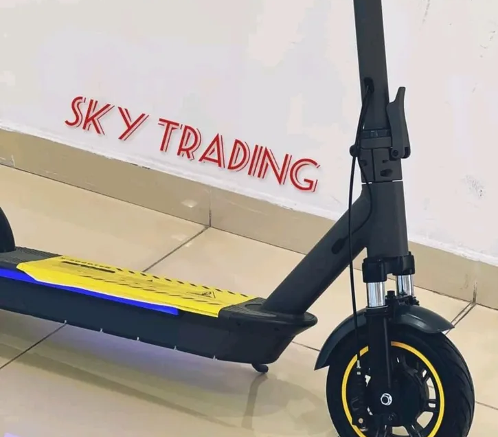 Electric Scooter : Winner sky pro max