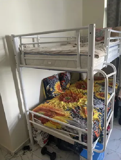 bunk bed-image