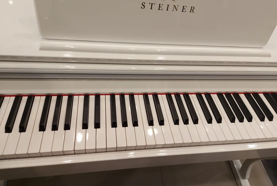 Steiner Digital Piano DP-800v2