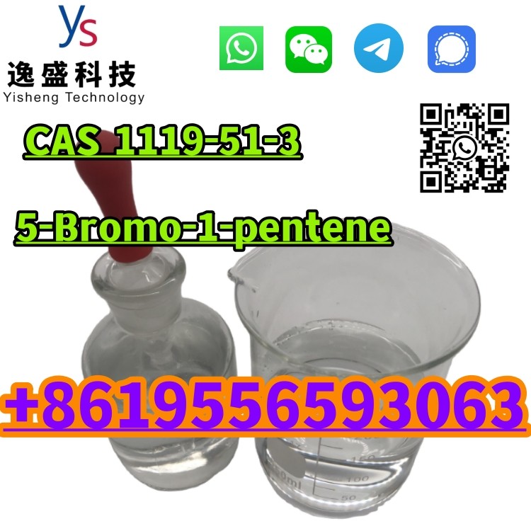 Factory Price 99% 5-Bromo-1-pentene Liquid CAS1119-51-3