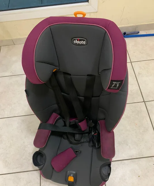 Car Baby seat-pic_2