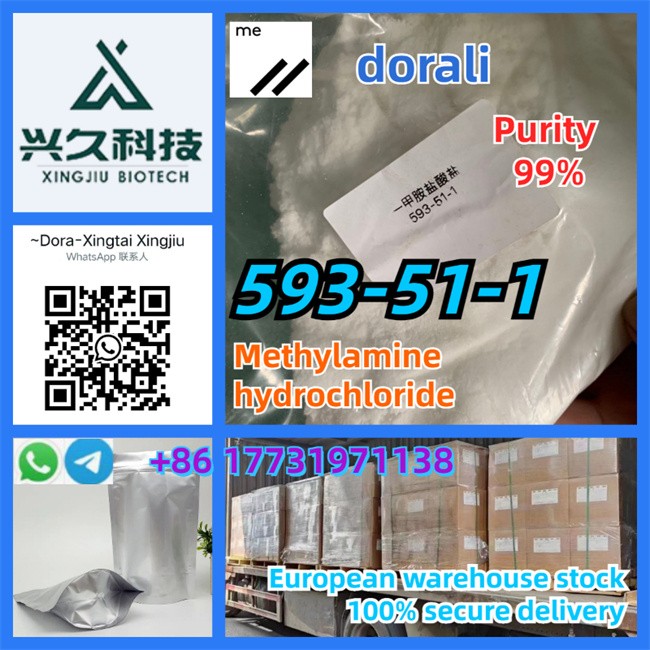 good price of methylamine hydrochloride 593-51-1