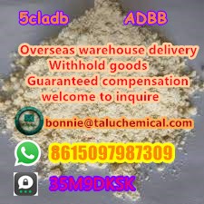 High quality hot selling high quality 5cl best price 1