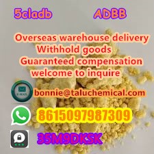 High quality hot selling high quality 5cl best price 3