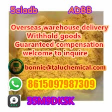 High quality hot selling high quality 5cl best price 9