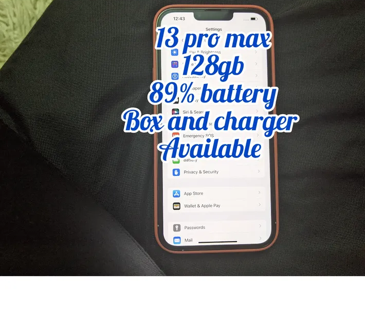 Iphone 13 Pro max-pic_3