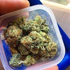 QUALITY WEED IN SAUDI ARABIA +44 7983 088578 KUWAIT, QATAR AVAILABLE NOW FOR DELIVERY UAE.-pic_1