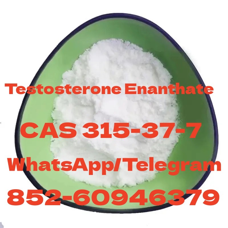 Testosterone Enanthate  CAS 315-37-7