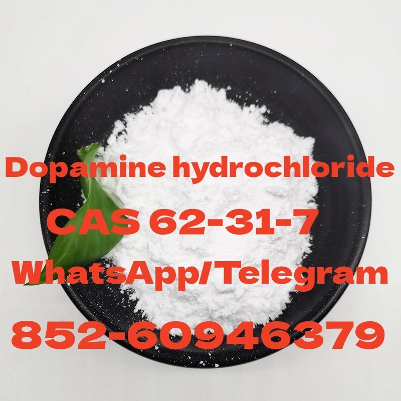 Dopamine hydrochloride  CAS 62-31-7