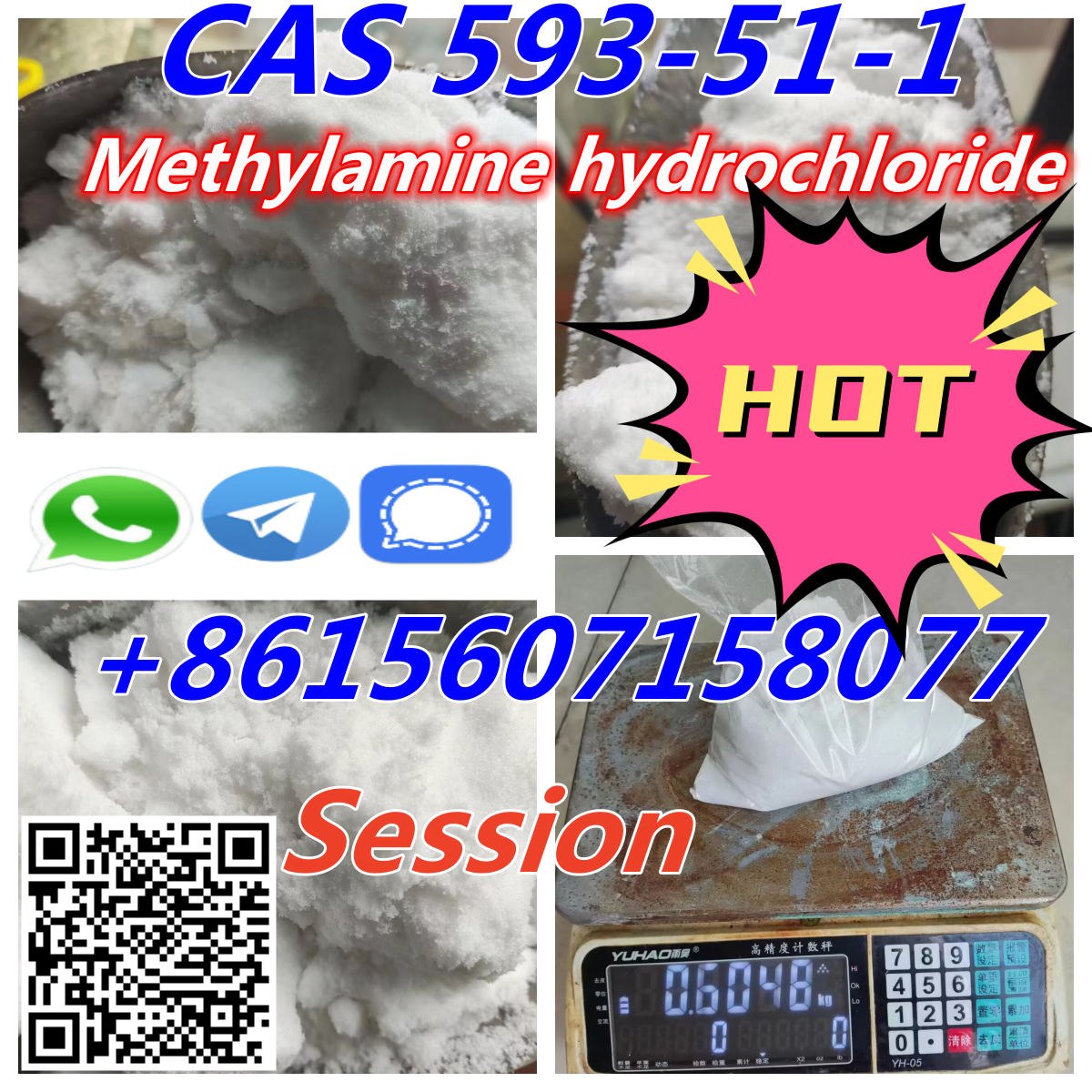 Hot Selling 99% purity CAS 593-51-1 Methylamine hydrochloride in Warehouse-pic_1