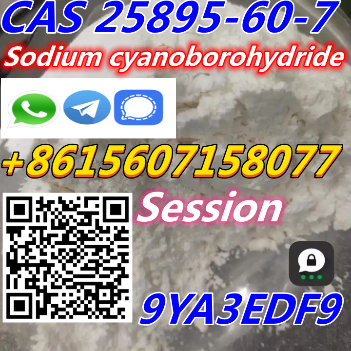 Wholesale chemical raw materials CAS 25895-60-7 Sodium cyanoborohydride with best price & customer service-pic_1