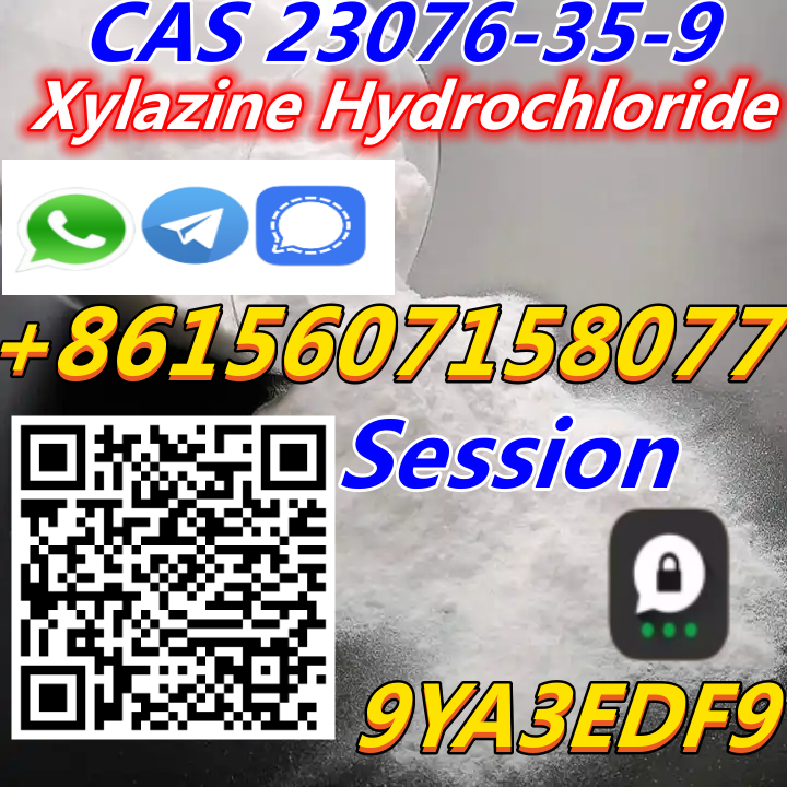 Bulk available  Xylazine Hydrochloride CAS 23076-35-9 high quality low price with safe & fast delivery
