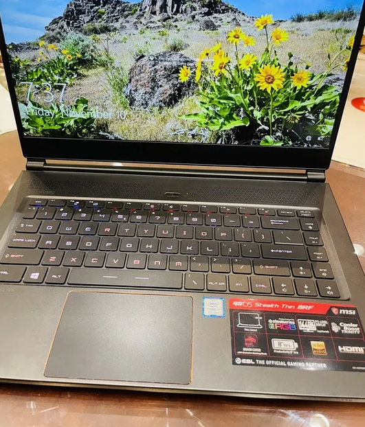 Msi Gs65 (Laptop Gaming)-pic_3