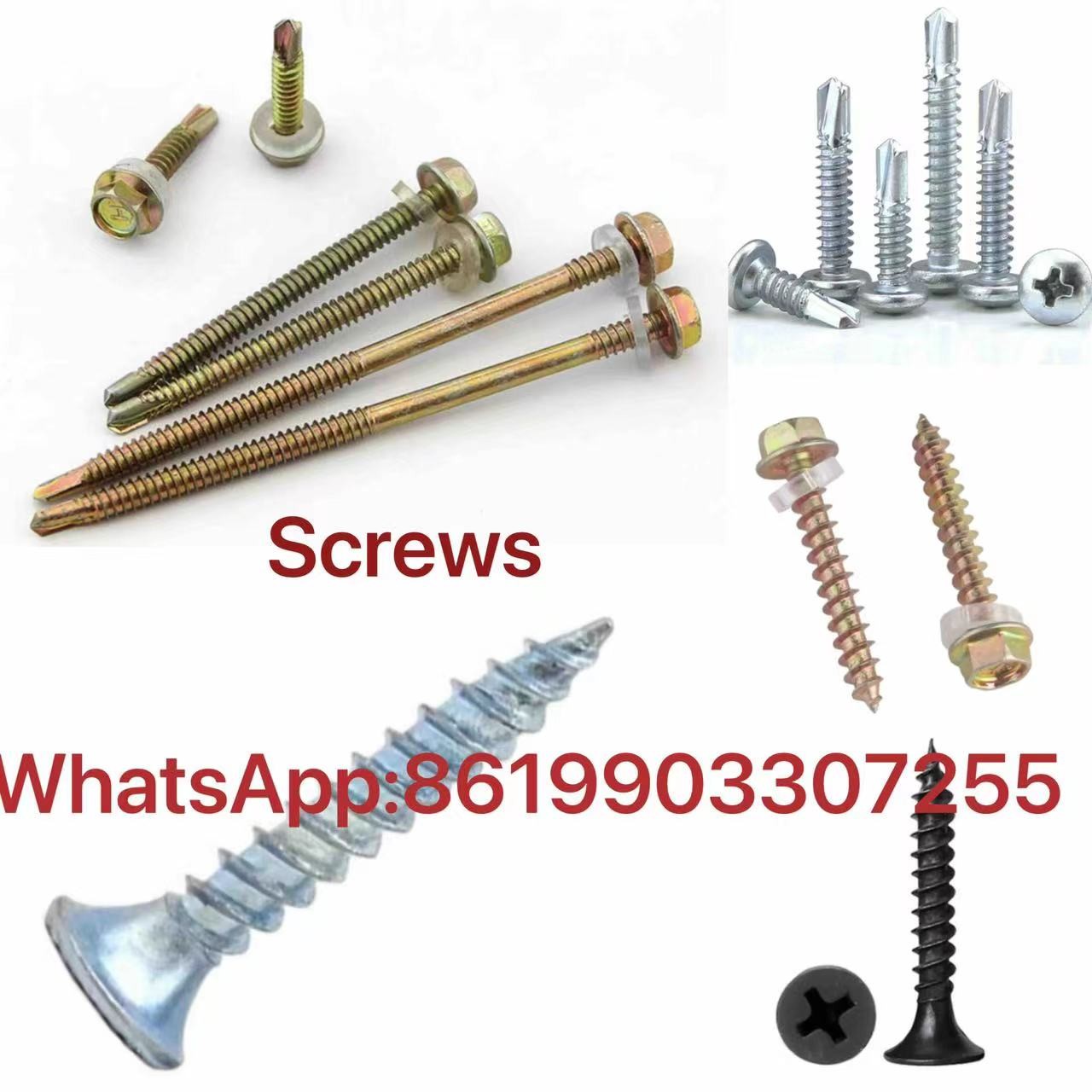 hex head self drilling screws fastener factory support costomization Whatsapp 8619903307255-pic_1