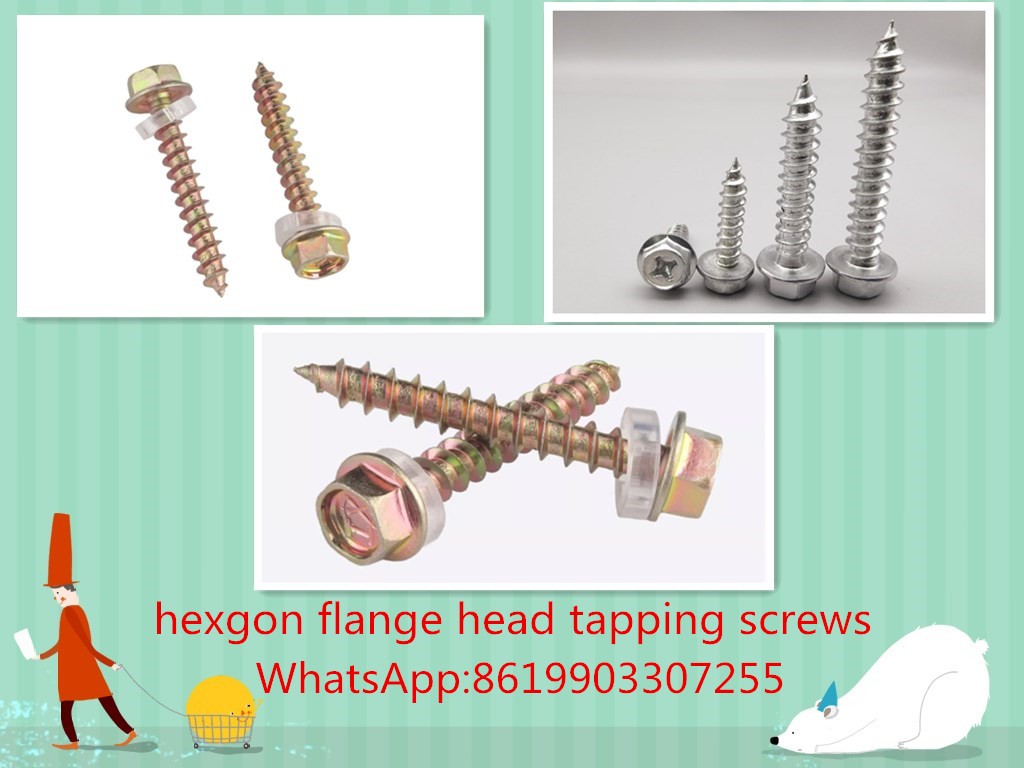 hexgon flange head tapping screw fastener factory support costomization Whatsapp 8619903307255