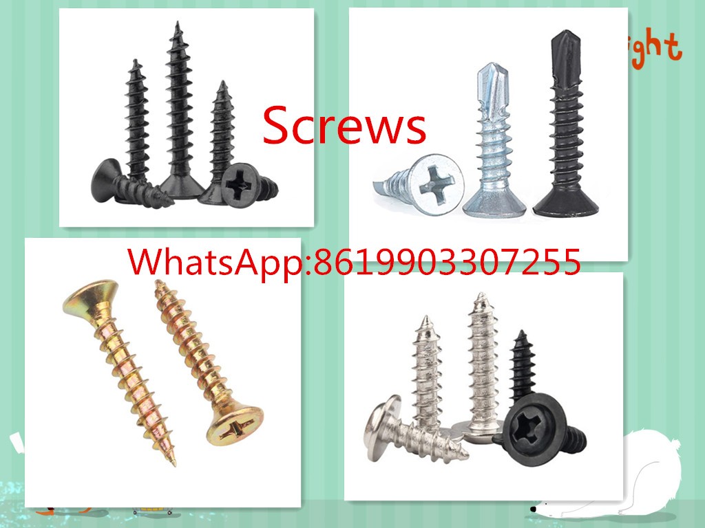 hexgon flange head tapping screw fastener factory support costomization Whatsapp 8619903307255-pic_1
