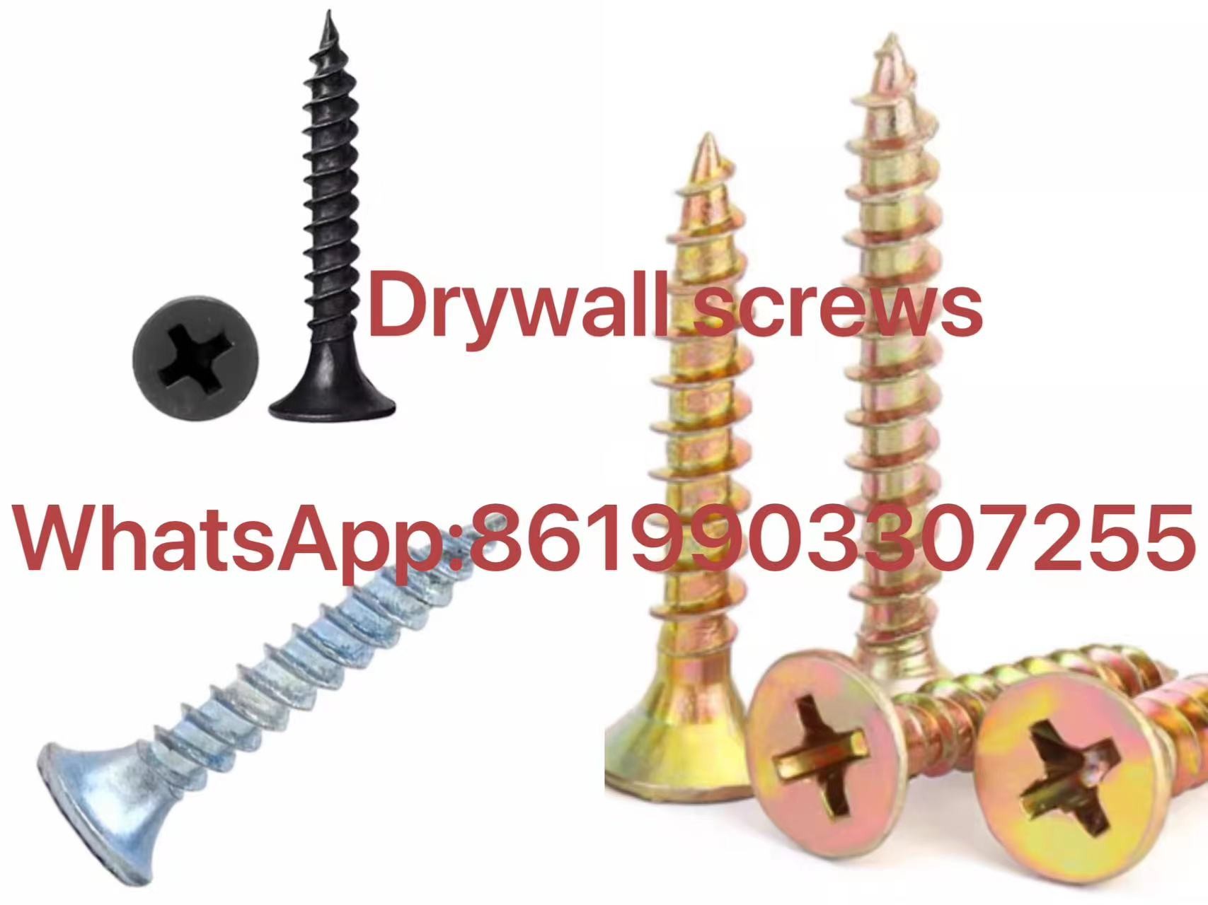 factory sales drywall screws WhatsApp:8619903307255