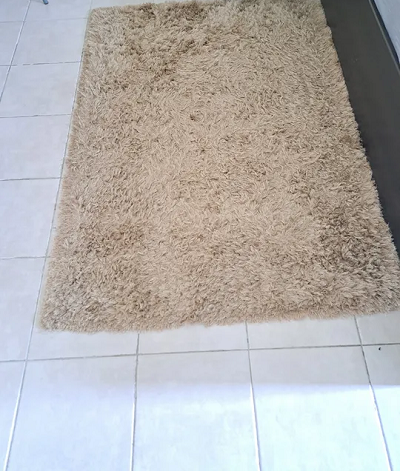 carpet from hombox