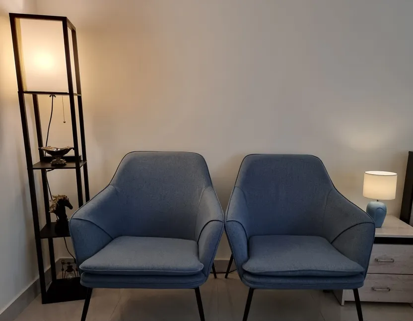 2 brand new chairs