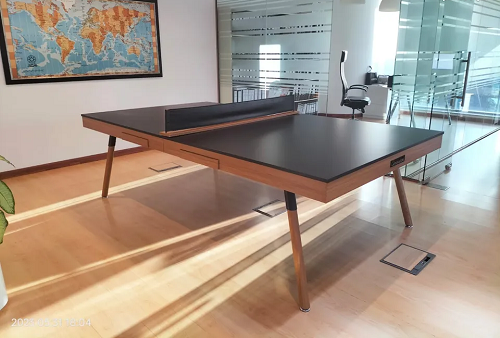 Elegant table tennis and table 2-in-1-pic_2