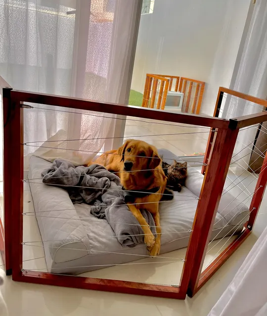Hand Made Cage for pets-pic_3