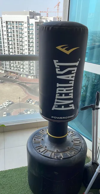 Everlast punching bag, with everlast gloves-pic_1