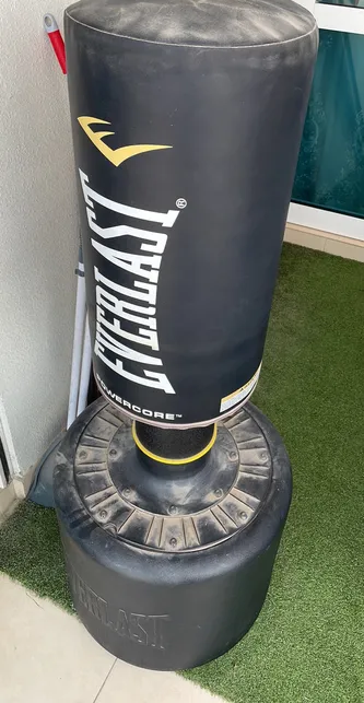 Everlast punching bag, with everlast gloves-pic_2