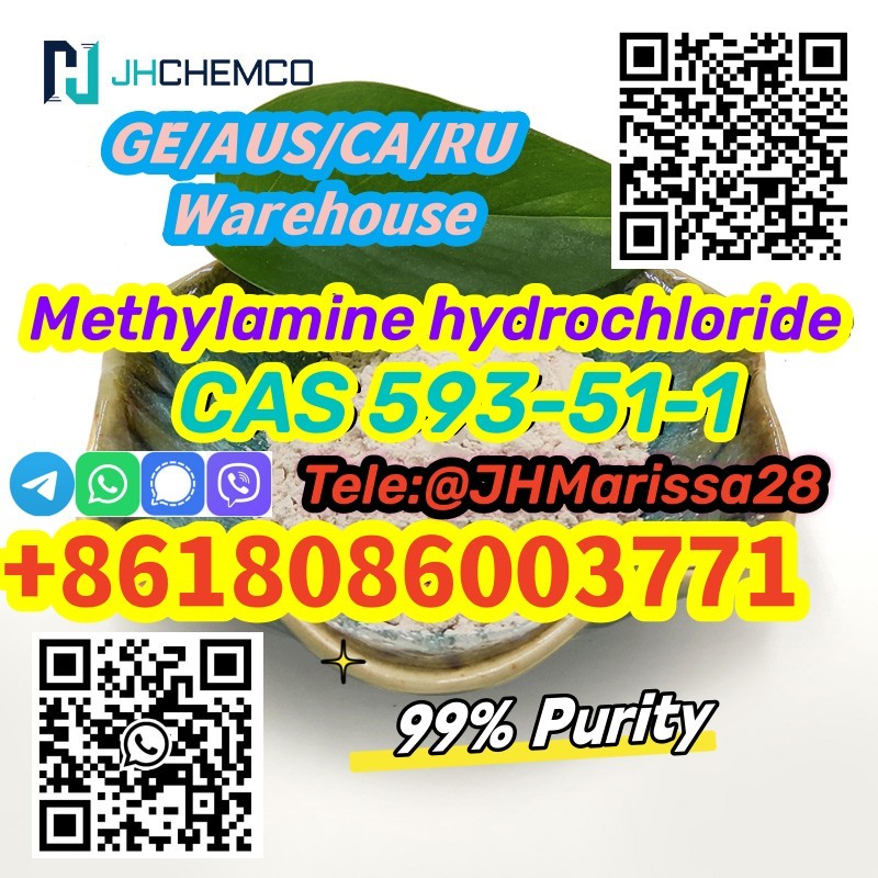 CAS 593-51-1 Methylamine hydrochloride   Threema: Y8F3Z5CH