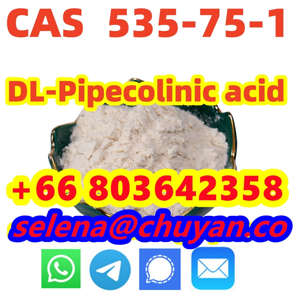 DL-Pipecolinic acid CAS 535-75-1 Manufacturer Supply