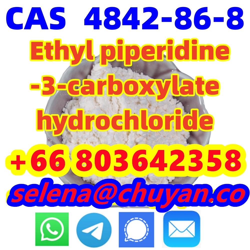 Ethyl piperidine-3-carboxylate hydrochloride CAS 4842-86-8 Manufacturer Supply