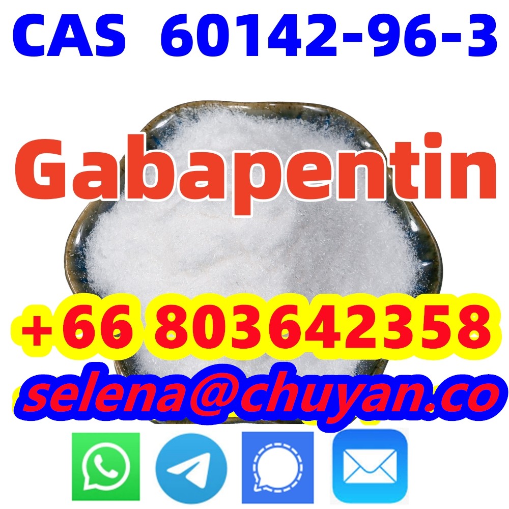 Gabapentin CAS 60142-96-3 Manufacturer Supply