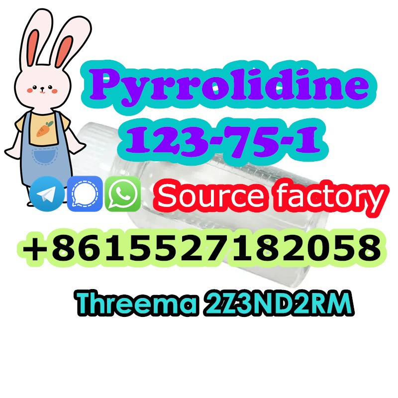 Pyrolidine CAS 123-75-1 buy in Russia