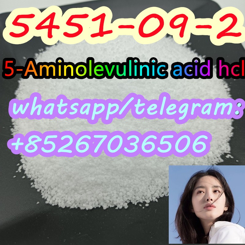 Safe Delivery 5451-09-2 5-Aminolevulinic acid hcl