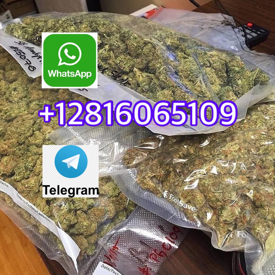 @~~BUY WEED, @##COCAINE AND @^^SHROOMS IN @^^**~~DUBAI AND //@@^~~#SAUDI ARABIA, [[**^^WHTSAP +12816065109!//**]] TO BUY HIGH QUALITY @#WEED